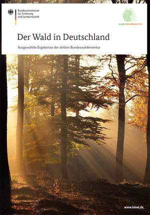Cover der Broschüre "Der Wald in Deutschland - ausgewählte Ergebnisse der dritten Bundeswaldinventur"