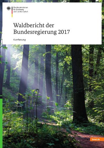 Cover der Broschüre "Waldbericht der Bundesregierung 2017" Kurzfassung