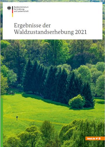 Broschürencover, das Bäume und eine Wiese zeigt. Titeltext: Ergebnisse der Waldzustandserhebung 2021