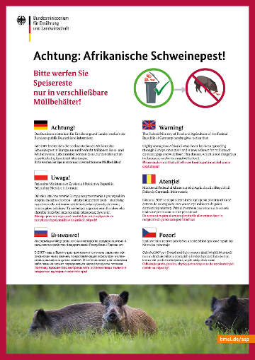 Warnplakat zur afrikanischen Schweinepest in sechs verschiedenen Sprachen