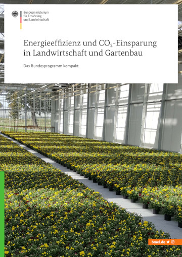 Cover der Broschüre "Energieeffizienz und CO2-Einsparung in Landwirtschaft und Gartenbau"; darauf sind ganz viele Pflanzen mit gelben Blüten zu sehen