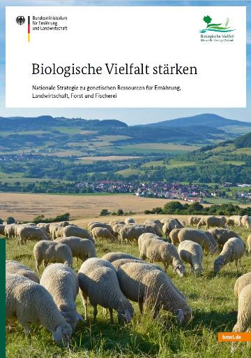 Cover der Broschüre "Biologische Vielfalt stärken - Nationale Strategie zu genetischen Ressourcen für Ernährung, Landwirtschaft, Forst und Fischerei": eine Schafherde auf der Wiese