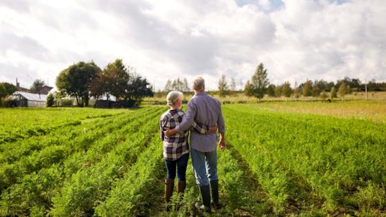 Älteres Paar steht auf dem Gemüsefeld, mit dem Blick in die Ferne und dem Rücken zur Kamera