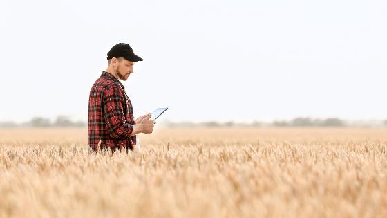 Bauer im Getreidefeld mit einem Tablet in den Händen