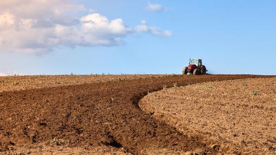 Ein Traktor führt Bodenbearbeitung auf einem Acker durch