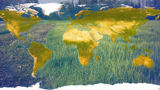 Eine Weltkarte und im Hintergrund ein Getreidefeld