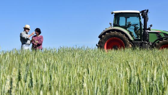 Auf einem Getreidefeld stehen 2 Leute neben einem Traktor