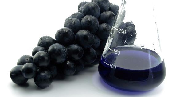 Laborkolben mit Weintrauben