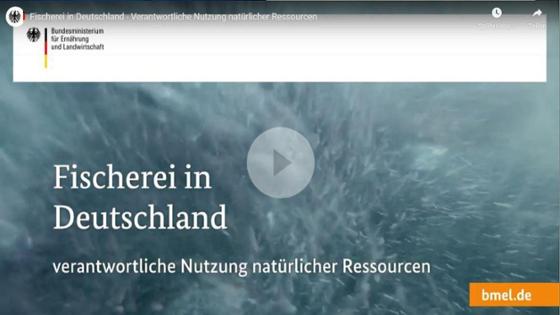 Startbild für das Video "Fischerei in Deutschland"