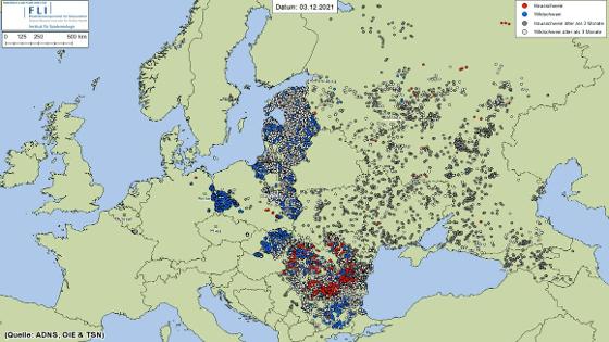 Karte von Europa mit Orten, wo die Afrikanische Schweinegrippe ausgebrochen ist