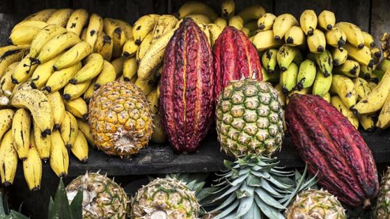 Früchte auf einem Markt in Ecuador