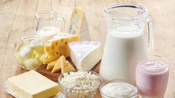 Schüsseln und Krüge mit Milch und Milchprodukten wie Quark, Joghurt und Käse