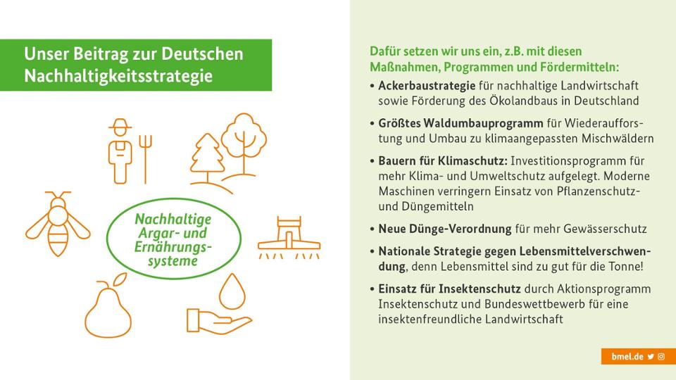 Grafik Deutsche Nachhaltigkeitsstratgie