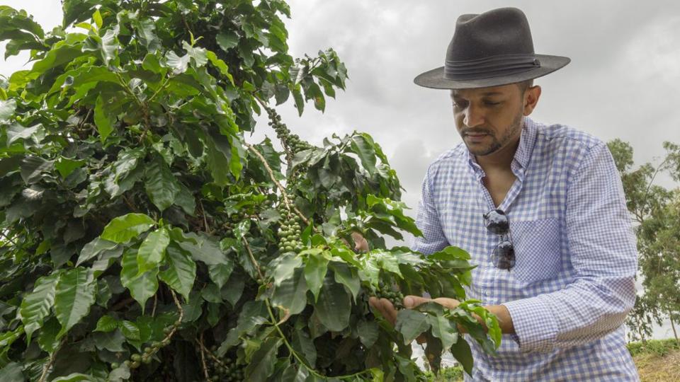 Ein Bauer in einer Kaffeeplantage