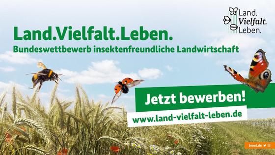 Bewerbungsaufruf: Land.Vielfalt.Leben. - Bundeswettbewerb insektenfreundliche Landwirtschaft