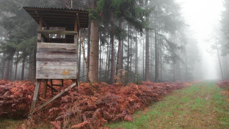 Hochsitz im Wald bei Nebel