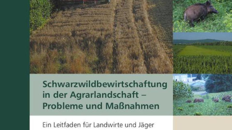 Cover der Broschüre "Schwarzwildbewirtschaftung in der Agrarlandschaft-Probleme und Maßnahmen"