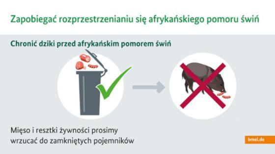 Infografik auf Polnisch zur Afrikanischen Schweinepest