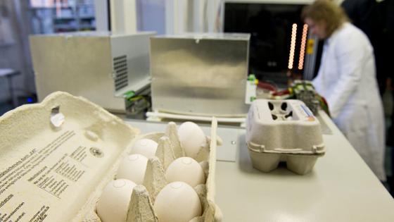 Im Vordergrund eine Packung mit Eiern im Hintergrund eine Wissenschaftlerin im Labor