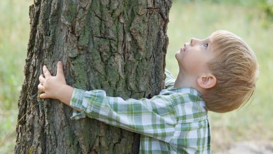 Ein Junge schaut an einem Baum hoch und umarmt ihn