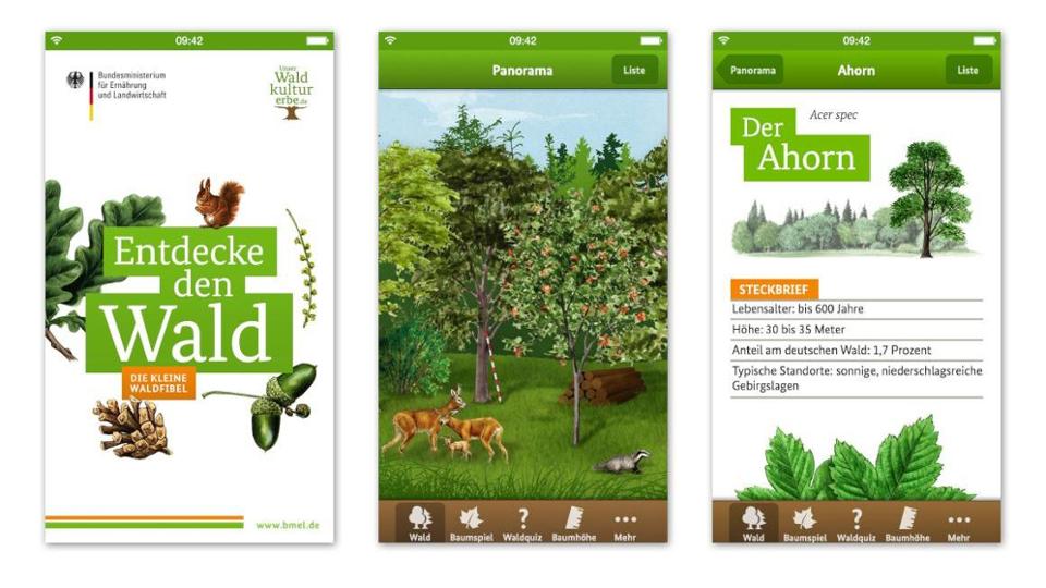 Mobile App - die Waldfibel