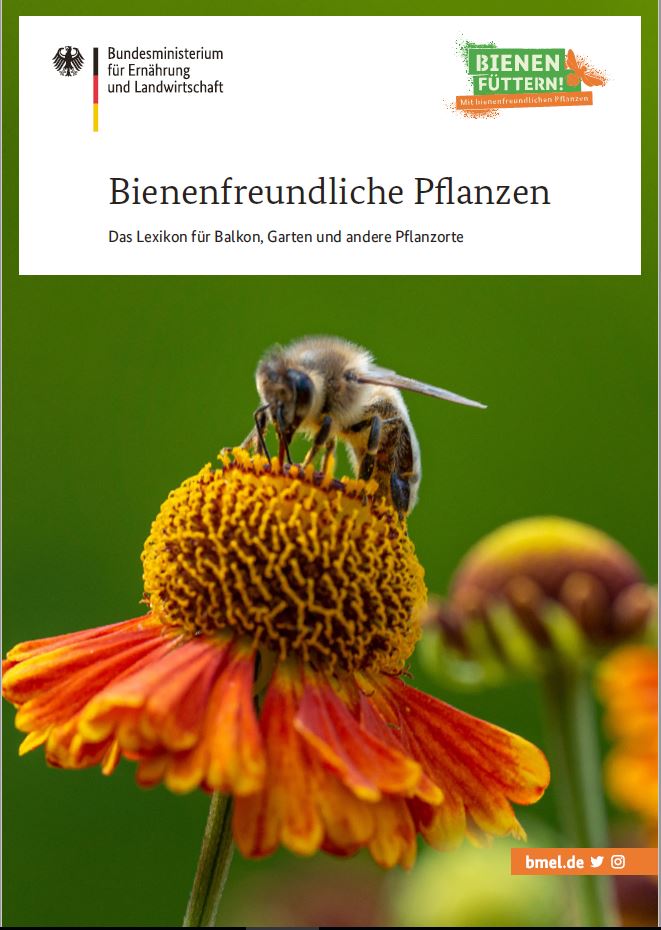 Cover der Broschüre 'Bienenfreundliche Pflanzen - Das Lexikon für Balkon, Garten und andere Pflanzenorte'