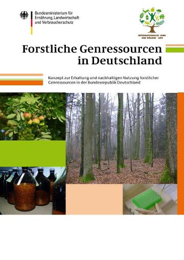 Titelbild der Broschüre 'Forstgenetische Ressourcen in Deutschland'