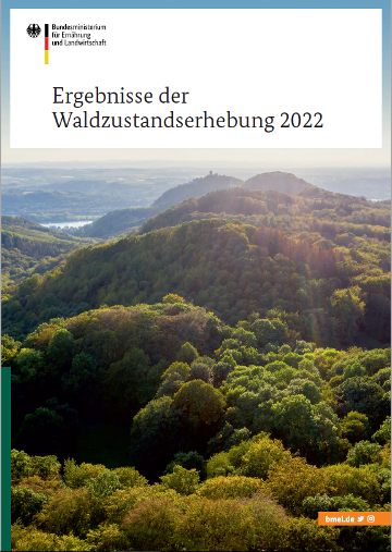 Broschürencover, das baumbewachsene Hügel im Sonnenschein zeigt. Titeltext: Ergebnisse der Waldzustandserhebung 2021