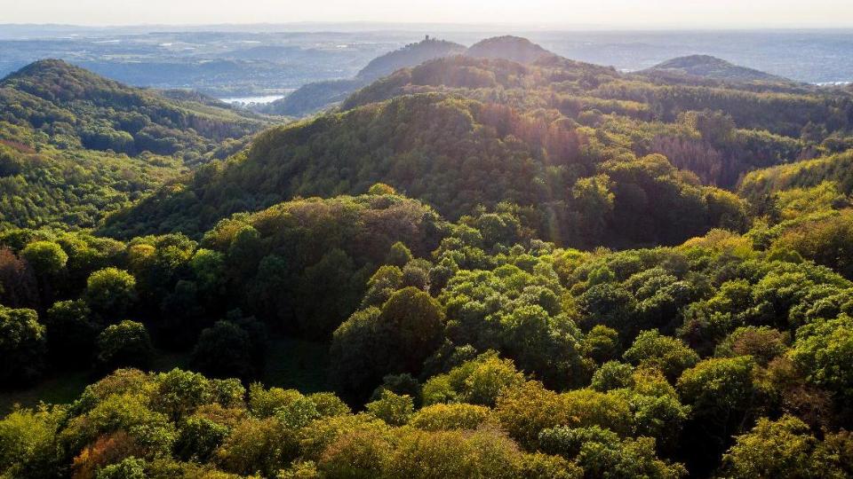 Blick über das Siebengebirge und das Rheintal: bewaldete Hügel im Sonnenschein