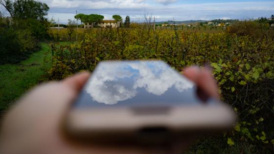 A smartphone screen reflects the sky, in the background a garden